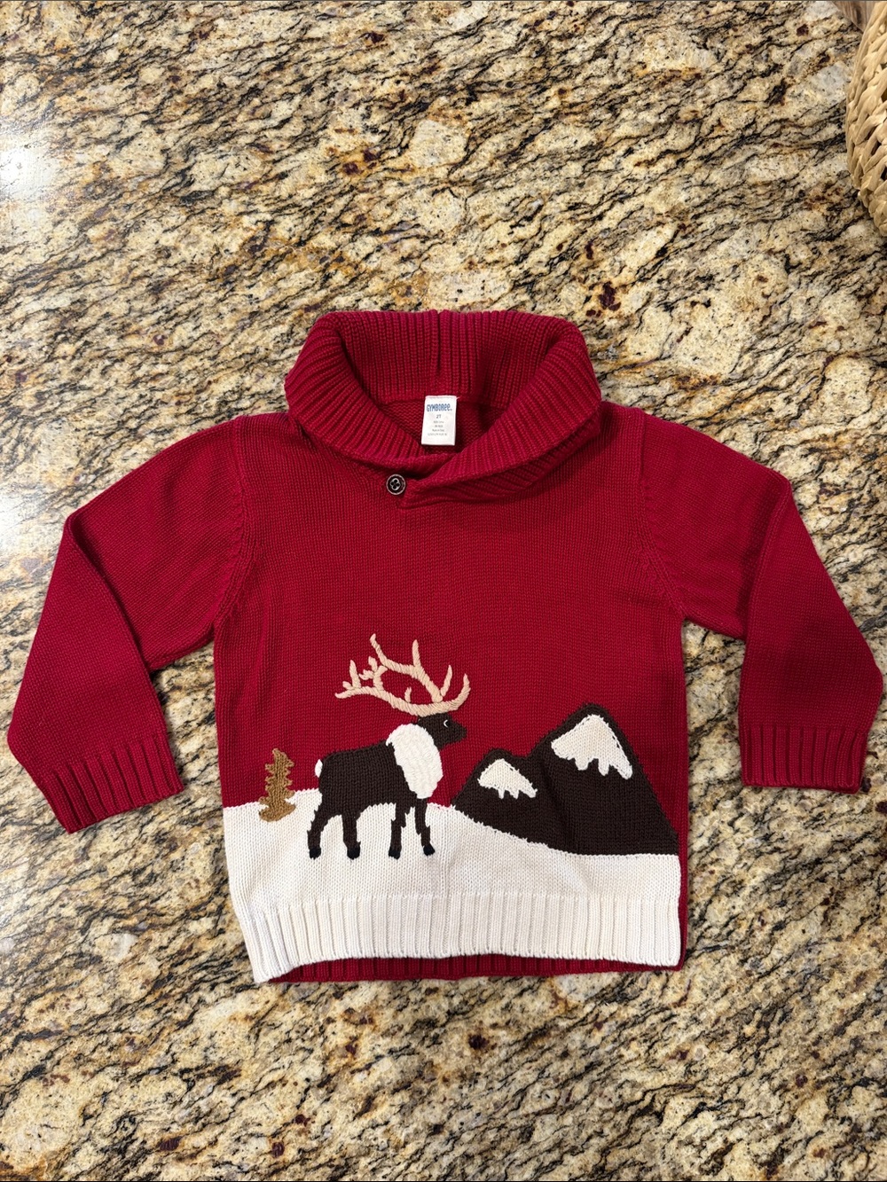 Gymboree Boys’ Sweater